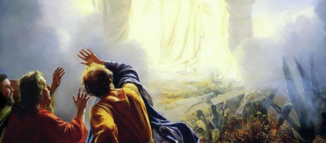 Bulletin - Transfiguration of Our Lord